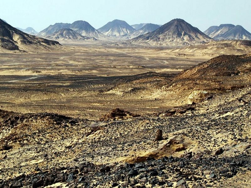  Excurs ã o de um dia em Bahariya Oasis 