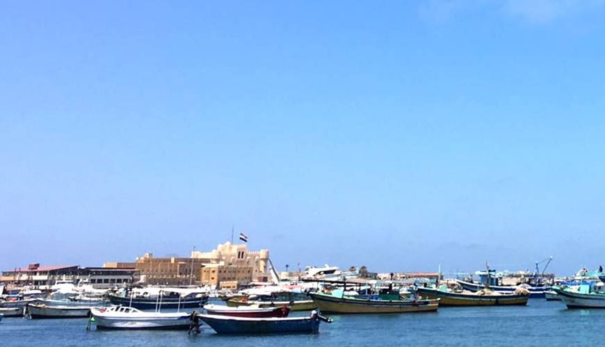 Amazing Alexandria Discovering from Alexandria Port