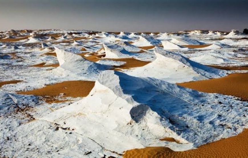 Excursion de 2 nuits en camping dans le désert blanc en Egypte