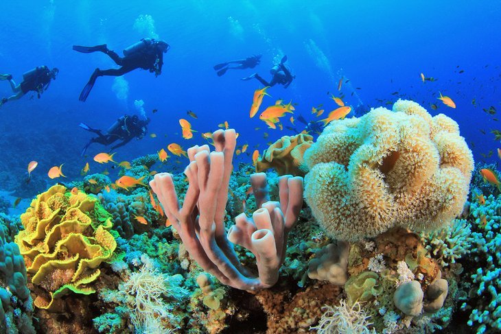 Amazing Sharm El Shiekh,11 Spots for snorkeling & diving