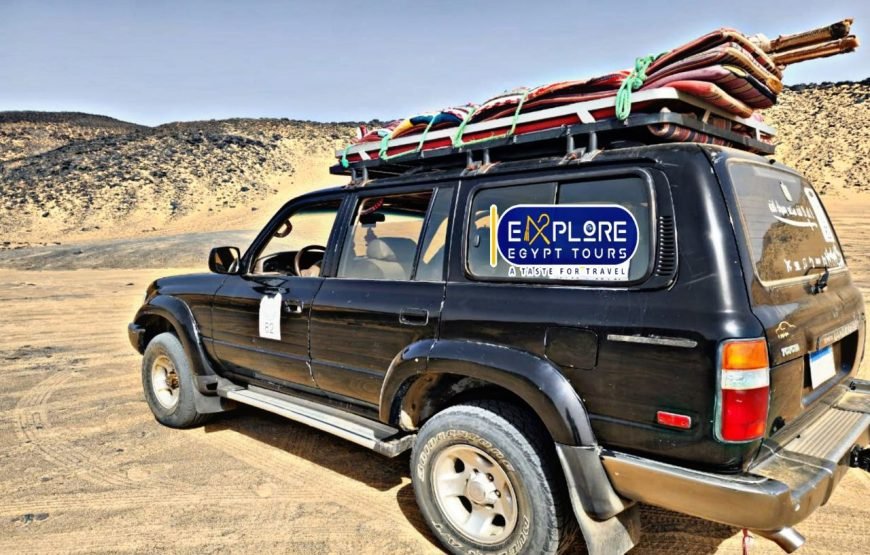 Excursion de 2 nuits en camping dans le désert blanc en Egypte
