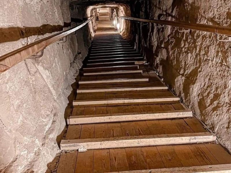  Tipo de passeio 