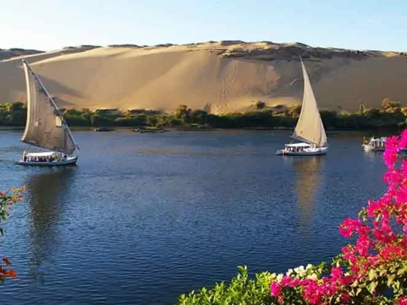  Circuit au Caire Assouan Louxor et Hurghada 