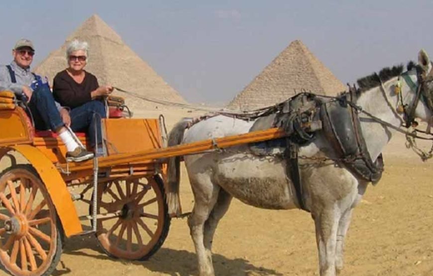 Explorez le Caire et les Pyramides depuis Sharm El-Sheikh pour une journée