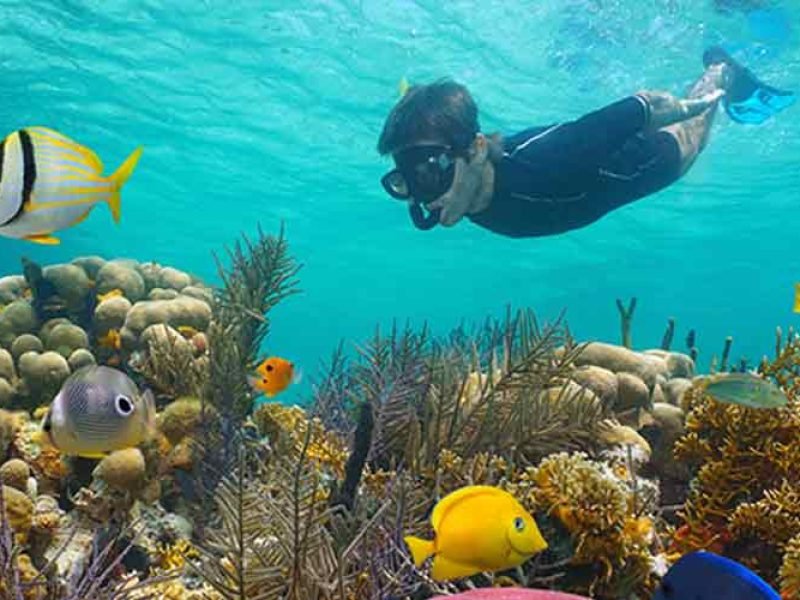  Snorkeling at Hamata Island from Marsa Alam 