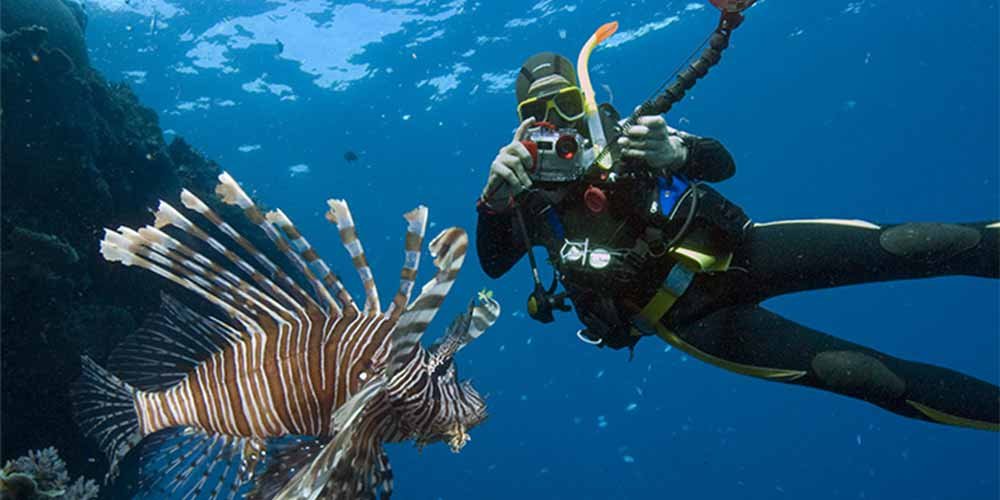 mergulho com snorkel