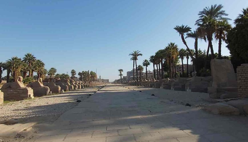 Amazing Sphinxes:4 Facts about Echoes of Ancient Thebes.