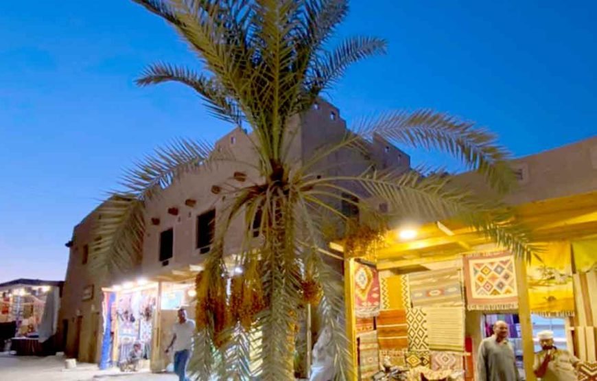 7 jours de voyage au Caire et dans une oasis de Siwa