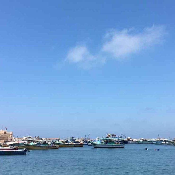 Alexandria Unveiled: Day Tours to Egypt's Coastal Gem