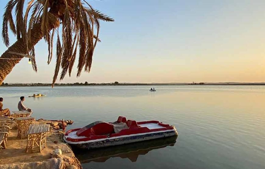 7 jours de voyage au Caire et dans une oasis de Siwa