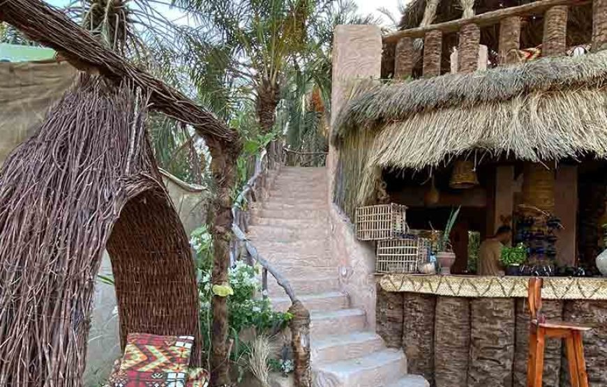 7 jours de voyage au Caire et dans une oasis de Siwa