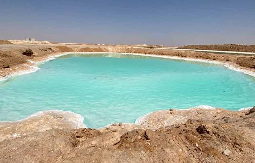 7 jours de voyage au Caire et dans une oasis de Siwa