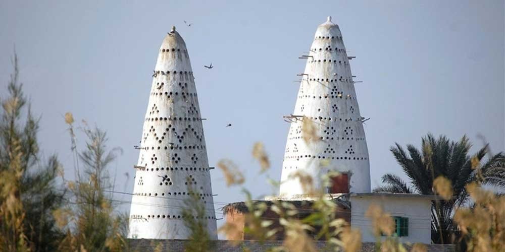 A medium shot of two traditional Egyptian pigeon towers in Fayoum. The towers are tall, conical structures made of white-plastered mud brick, featuring hundreds of small circular nesting holes arranged in decorative geometric patterns. Small wooden perches stick out horizontally from the sides. Several pigeons are seen flying around or perched on the towers. The structures are set against a clear, pale blue sky, partially framed by blurry green reeds and palm trees in the foreground and background, a cultural highlight of a Fayoum sharing tour