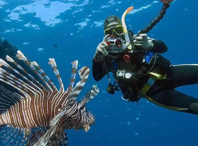 Scuba diver photographing a lionfish underwater in the Red Sea, Egypt