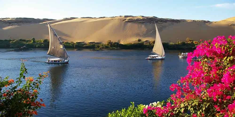 Felucca boat floating on the Nile River in Aswan with nature, flowers and sands