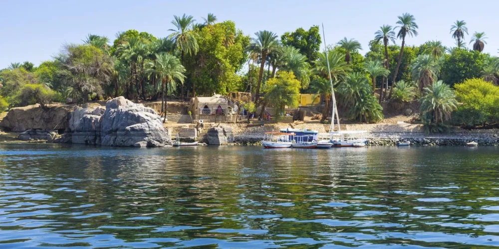 Kitchener’s Island Botanical Gardens in Aswan surrounded by green trees.