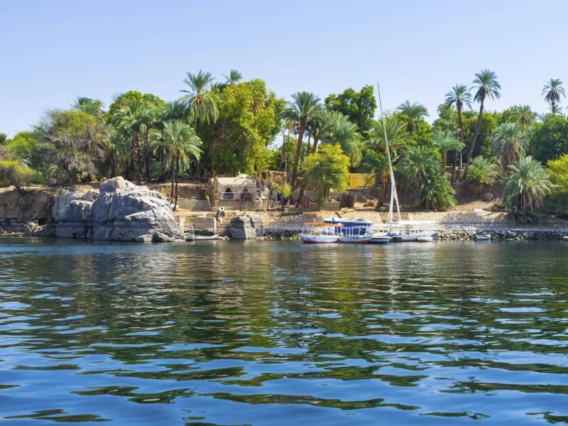 Kitchener’s Island Botanical Gardens in Aswan surrounded by green trees.
