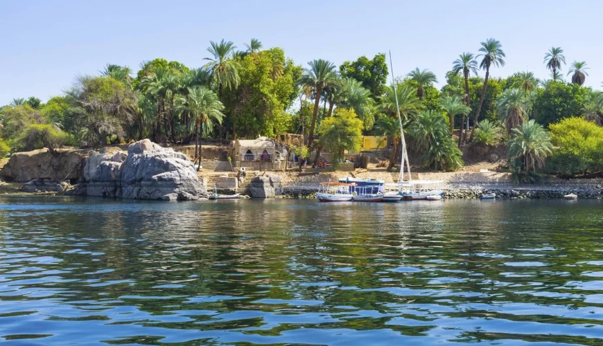 Kitchener’s Island Botanical Gardens in Aswan surrounded by green trees.