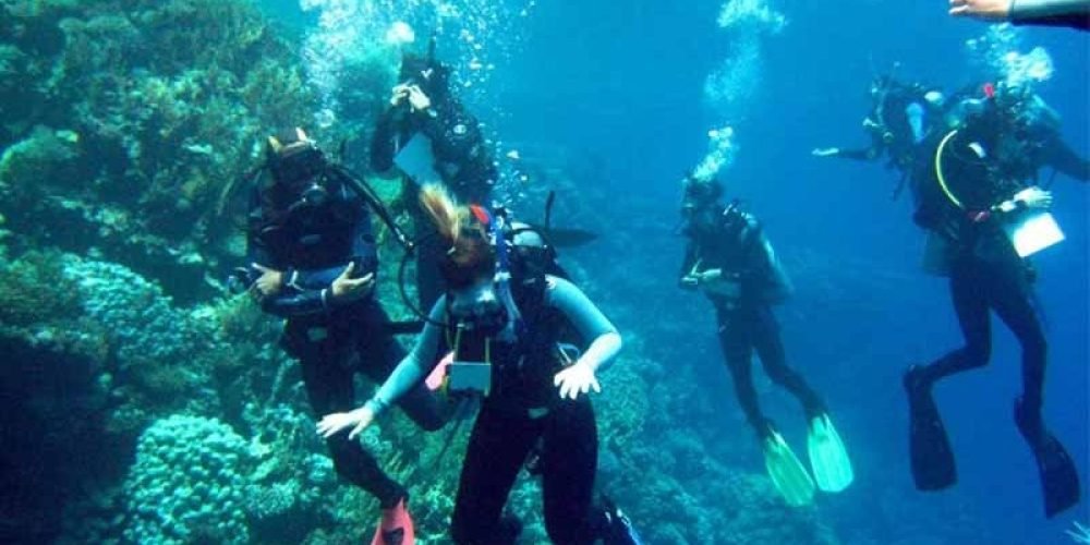 A group of five scuba divers exploring a vibrant coral reef deep underwater in the clear blue sea during a Ras Mohammed National Park excursion. The divers are wearing full black wetsuits, fins, and oxygen tanks while swimming alongside a massive coral wall teeming with marine life. Bubbles rise toward the surface as the sunlight filters through the water, illuminating the intricate textures of the underwater ecosystem