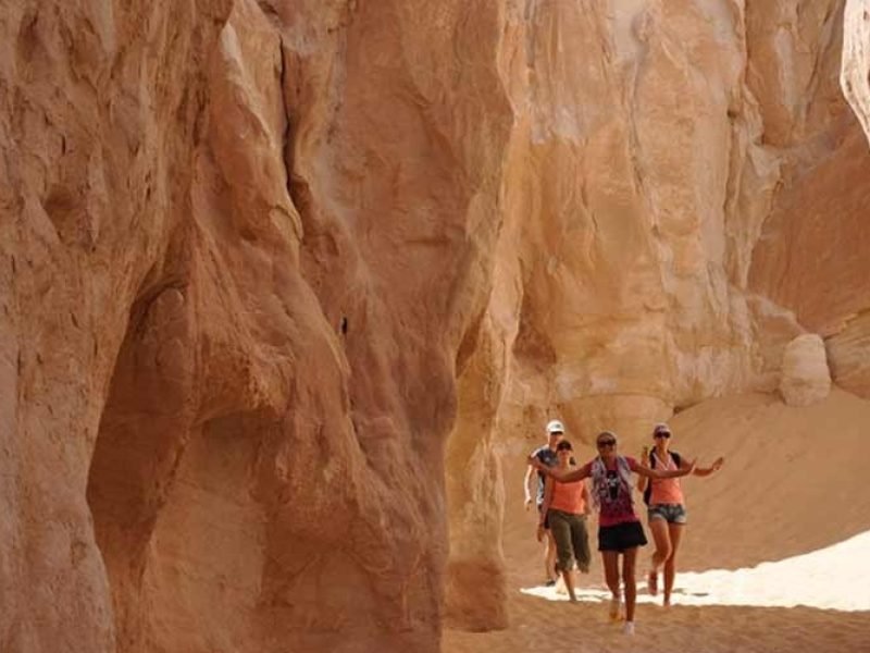 Four female tourists walking through a narrow passage between high, winding sandstone walls in a desert canyon during their safari trip. The towering rock formations feature smooth, wavy textures in shades of tan and orange, illuminated by bright natural sunlight from above. The ground is covered in soft, pale sand as the group explores the deep, natural geological corridor