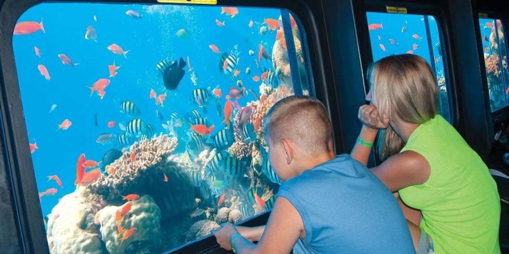 A young boy and a woman sitting inside a semi-submarine looking through a large glass window at a vibrant coral reef. Dozens of colorful tropical fish, including yellow and black striped sergeant majors and orange anthias, swim around the corals during a Submarine trip. The bright blue underwater scene is viewed from the dark interior of the vessel, showing a clear and immersive perspective of the Red Sea marine life