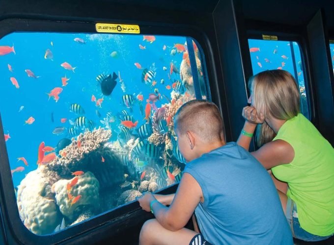 A young boy and a woman sitting inside a semi-submarine looking through a large glass window at a vibrant coral reef. Dozens of colorful tropical fish, including yellow and black striped sergeant majors and orange anthias, swim around the corals during a Submarine trip. The bright blue underwater scene is viewed from the dark interior of the vessel, showing a clear and immersive perspective of the Red Sea marine life