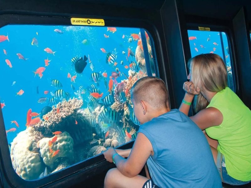 A young boy and a woman sitting inside a semi-submarine looking through a large glass window at a vibrant coral reef. Dozens of colorful tropical fish, including yellow and black striped sergeant majors and orange anthias, swim around the corals during a Submarine trip. The bright blue underwater scene is viewed from the dark interior of the vessel, showing a clear and immersive perspective of the Red Sea marine life