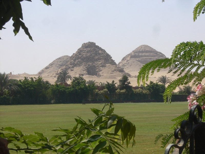 A wide landscape shot featuring the pyramids near the Sun Temple of Niuserre seen from across a vibrant green lawn. In the foreground, green leafy branches and pink flowers partially frame the view. The middle ground shows a line of palm trees and dark green foliage. In the background, three ancient, weathered pyramids of various sizes sit on the desert horizon under a pale, hazy sky.