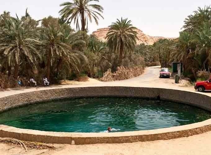 Crystal-clear waters of Cleopatra’s Pool (Ein Guba) surrounded by lush palm trees in Siwa Oasis.