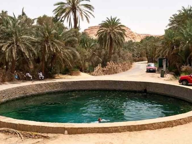 Crystal-clear waters of Cleopatra’s Pool (Ein Guba) surrounded by lush palm trees in Siwa Oasis.