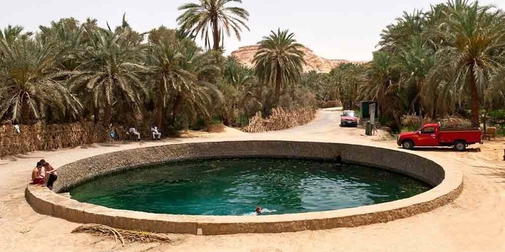 Crystal-clear waters of Cleopatra’s Pool (Ein Guba) surrounded by lush palm trees in Siwa Oasis.