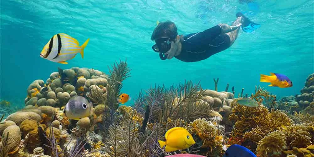 A young man snorkeling in Hamata Island, surrounded by a variety of fish