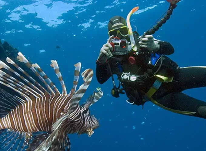 A young man snorkeling near Hamata Island in the Red Sea.