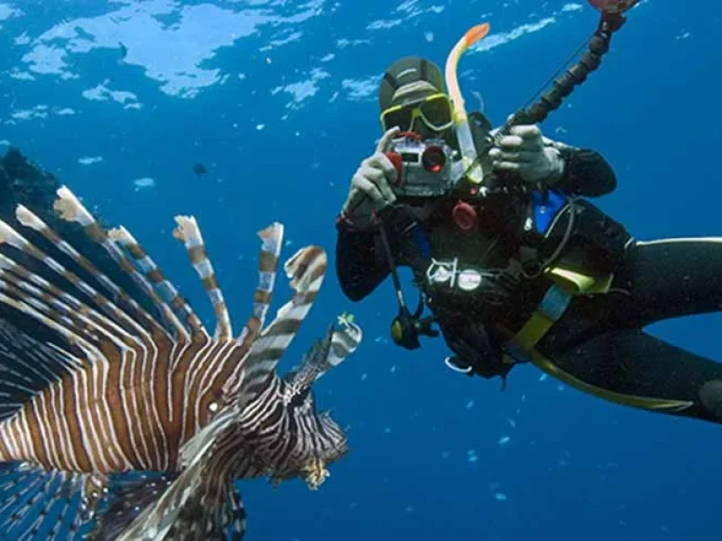 A young man snorkeling near Hamata Island in the Red Sea.