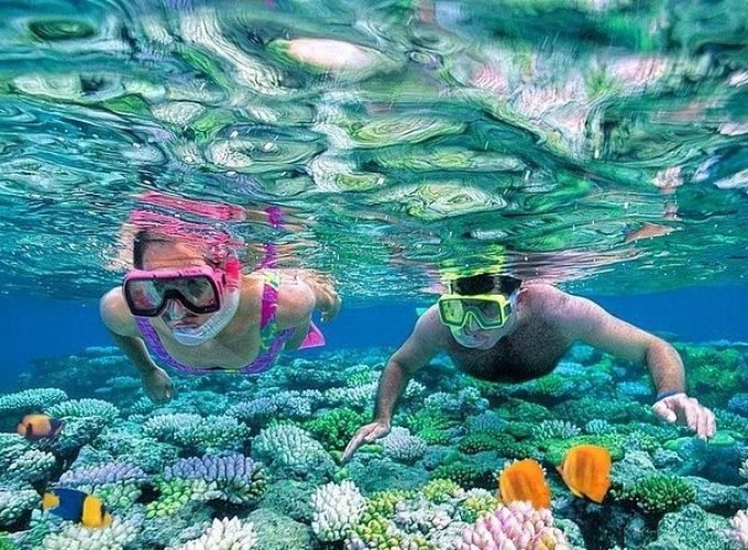 A man and a woman wearing colorful masks and snorkels swimming over a vibrant coral reef with clear blue water. Bright yellow and blue tropical fish swim near the diverse coral formations during a professional Snorkeling Trip