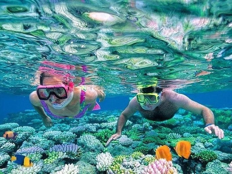 A man and a woman wearing colorful masks and snorkels swimming over a vibrant coral reef with clear blue water. Bright yellow and blue tropical fish swim near the diverse coral formations during a professional Snorkeling Trip