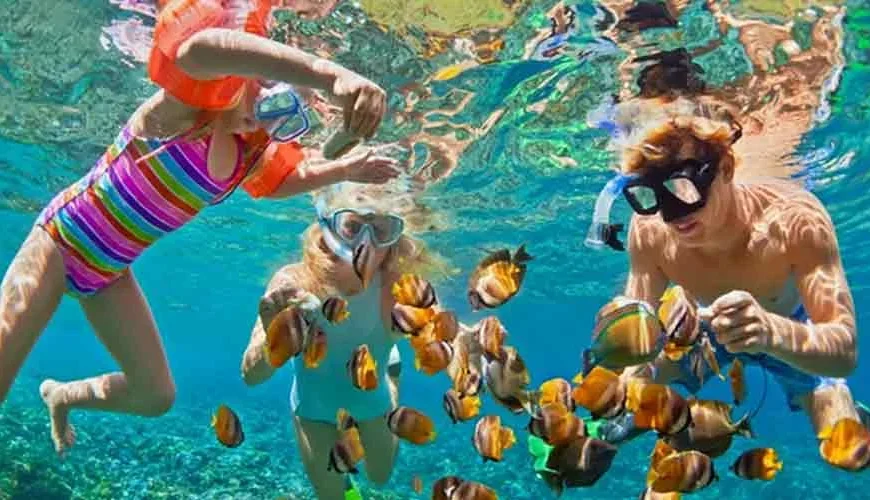 Personas buceando junto a peces de colores en el mar de Sharm El Sheikh