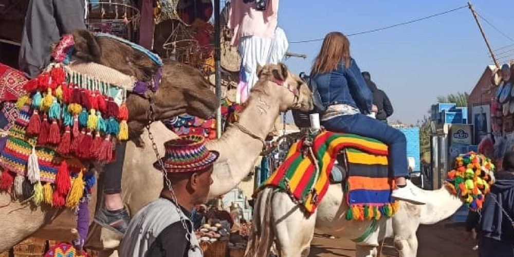Des touristes à dos de chameaux décorés traversant un marché coloré lors d'une Visite inoubliable a Souk du Assouan et village nubien