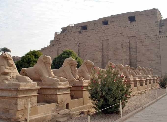 The Sphinxes statue at Luxor Temple in a majestic scene