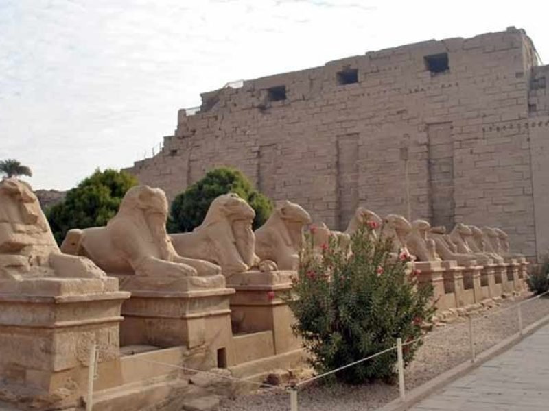 The Sphinxes statue at Luxor Temple in a majestic scene