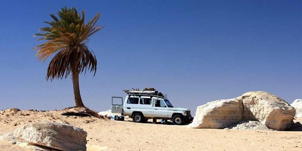 Car parked near a palm tree in the desert with rocks around it.