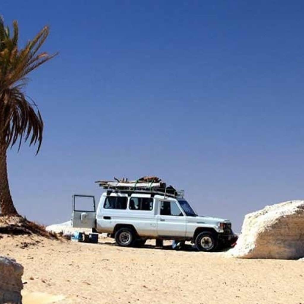 A white 4x4 Safari vehicle parked near a solitary palm tree and large limestone rocks in the Egyptian desert.