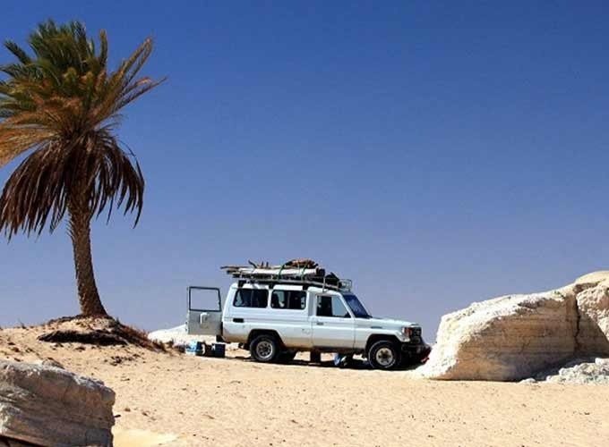 A white 4x4 Safari vehicle parked near a solitary palm tree and large limestone rocks in the Egyptian desert.