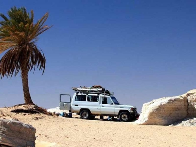 A white 4x4 Safari vehicle parked near a solitary palm tree and large limestone rocks in the Egyptian desert.